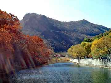 澳门二四六天天免费好材料，北京的市花是什么